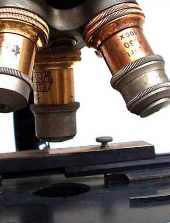 Leitz #12  microscopi antichi, vintage microscopes, microtome, microtomes