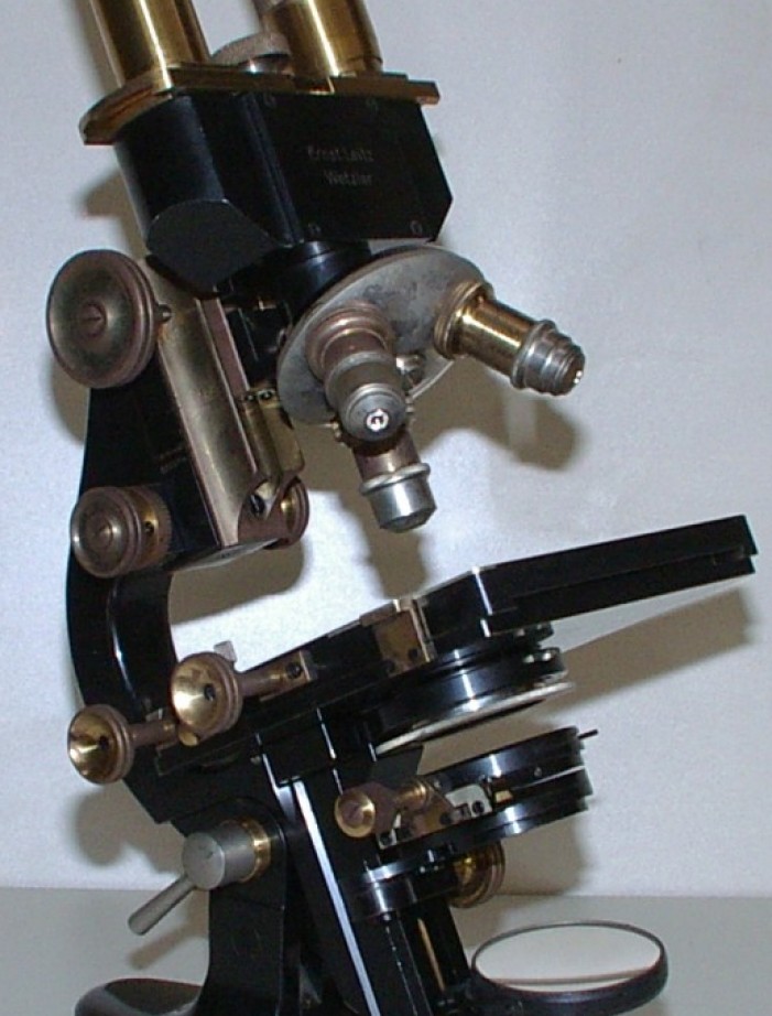 Leitz Binocular Microscope per la salute